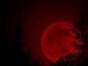 red_moon_rising_by_fallen0dream[1].jpg